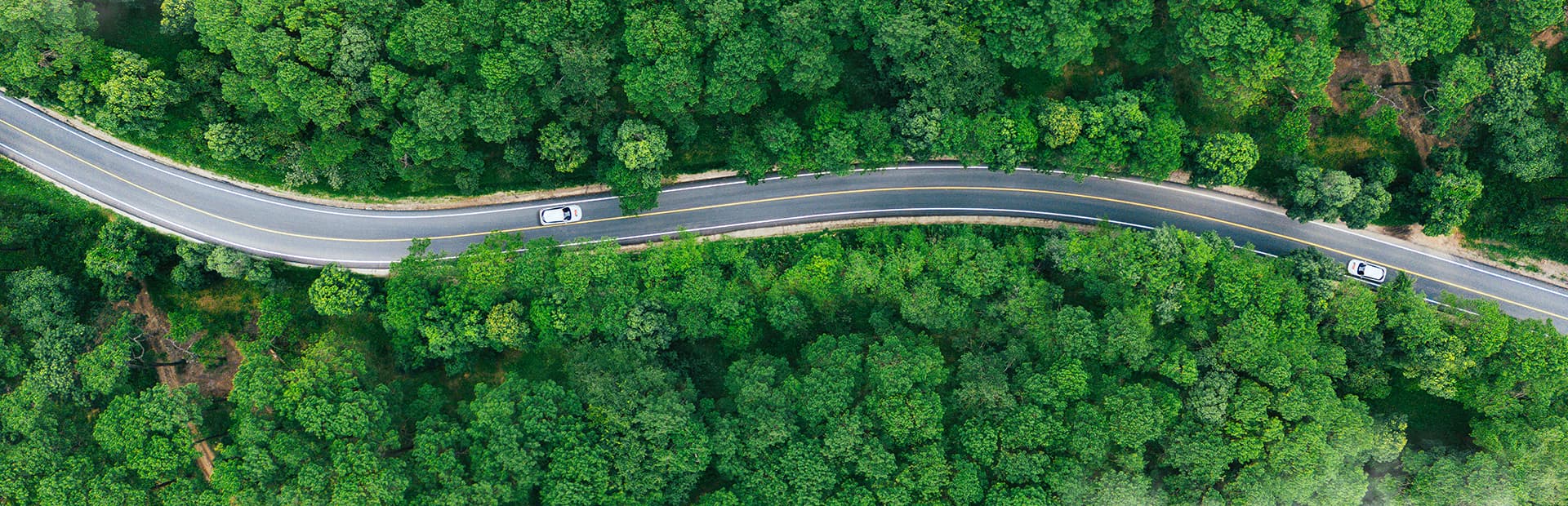 Luchtfoto van een kronkelige weg door een dicht groen bos, met twee witte auto's die in tegengestelde richting over de weg rijden.